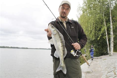 Zander Fishing Torrent   Archived By Wendy Simon, North Dakota