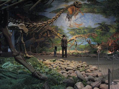Zigong Dinosaur Museum   JungleKey.cn 图片