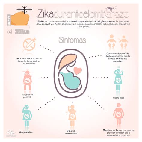 Zika durante el Embarazo | Centro Estatal de Vigilancia ...