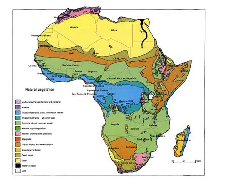 Zimbabwe Vegetation Map
