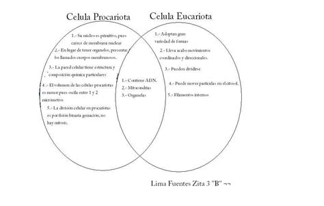 ZitaBio ~: DIFERENCIAS DE CELULA PROCARIOTA && EUCARIOTA
