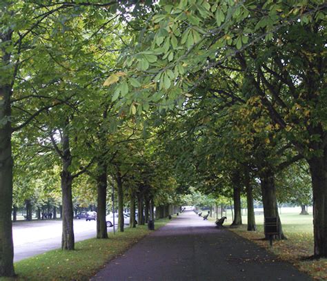 Zonas verdes de Londres: parques y jardines en los que ...