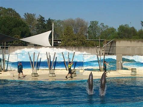 Zoo Aquarium de Madrid: fotografía de Zoo Aquarium de ...