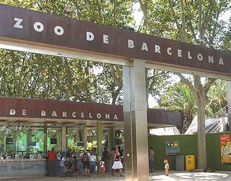 Zoo Barcelona | Para Viajar, para unas vacaciones inolvidables