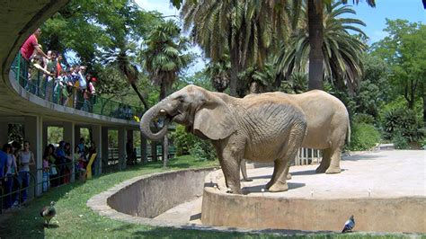 Zoo de Barcelona | Turismo en Cataluña