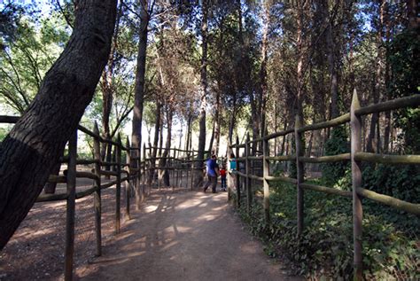 Zoo de Guadalajara   Viajeros Sin Limite