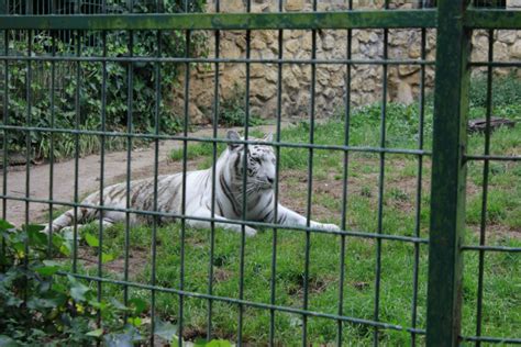 Zoo de Santillana del Mar