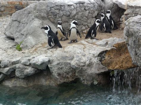 zoo del palacio de la magdalena | fotos de Santander
