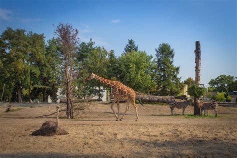 Zoo in Wroclaw | visitWroclaw.eu