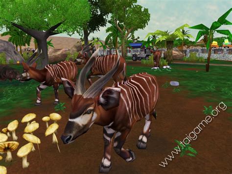 Zoo Tycoon 2: African Adventure   Download Free Full Games ...