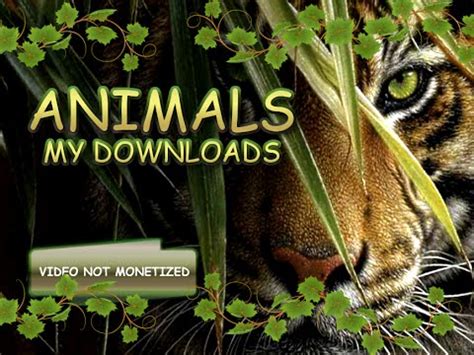 Zoo Tycoon 2 Animal Downloads  with Website Links For Each ...