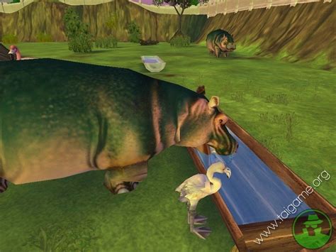 Zoo Tycoon 2   Download Free Full Games | Simulation games
