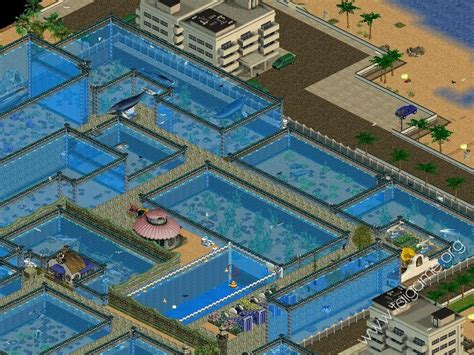 Zoo Tycoon: Complete Collection   Download Free Full Games ...