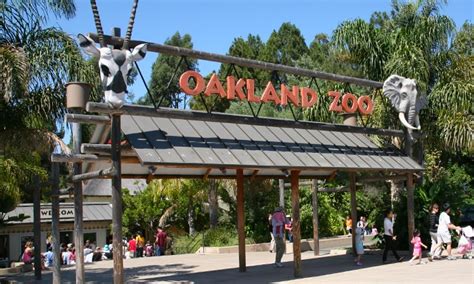 Zoo Visit   Oakland Zoo | Groupon