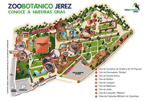 Zoobotanico Jerez :: 26 Mayo 2017: Conoce a las crías del ...