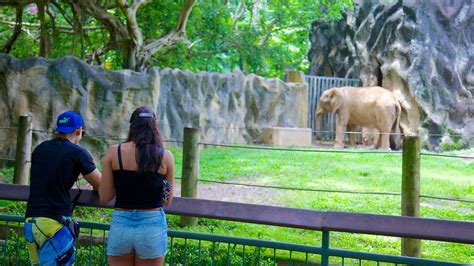 Zoológico de Mayagüez: Información de Zoológico de ...