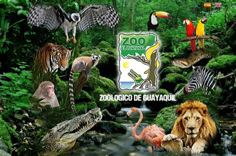 Zoologico el Pantanal | EstadeModa