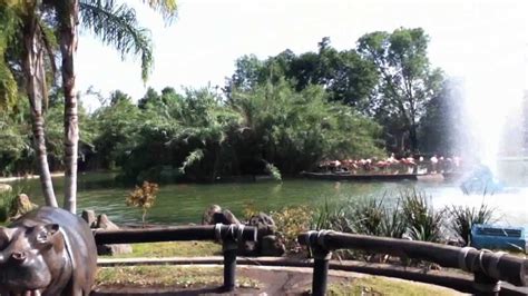 Zoológico Safari & Acuario Guadalajara   YouTube