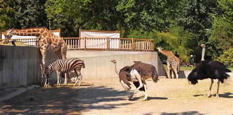 Zoos and Aquariums | LAJewishGuide.com – Your #1 Guide to ...
