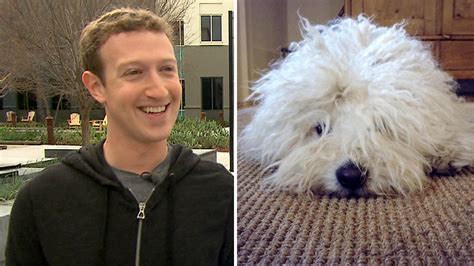 Zuckerberg: I post a lot of dog photos   TODAY.com