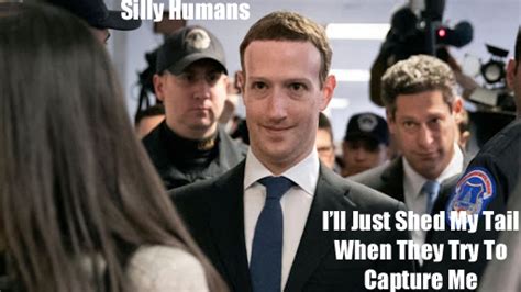Zuckerberg s Congress Testimony Inspires Hilarious Memes ...